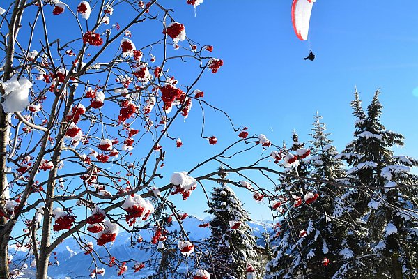 Winterlandschaft im Obervinschgau