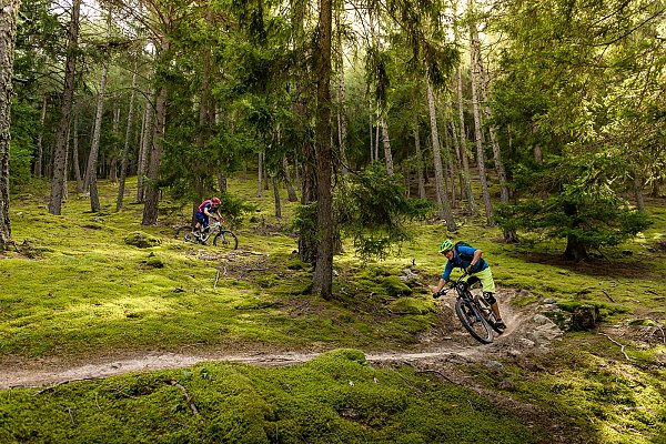 Mountainbiketrails im Vinschgau Mountainbiketrails im Vinschgau