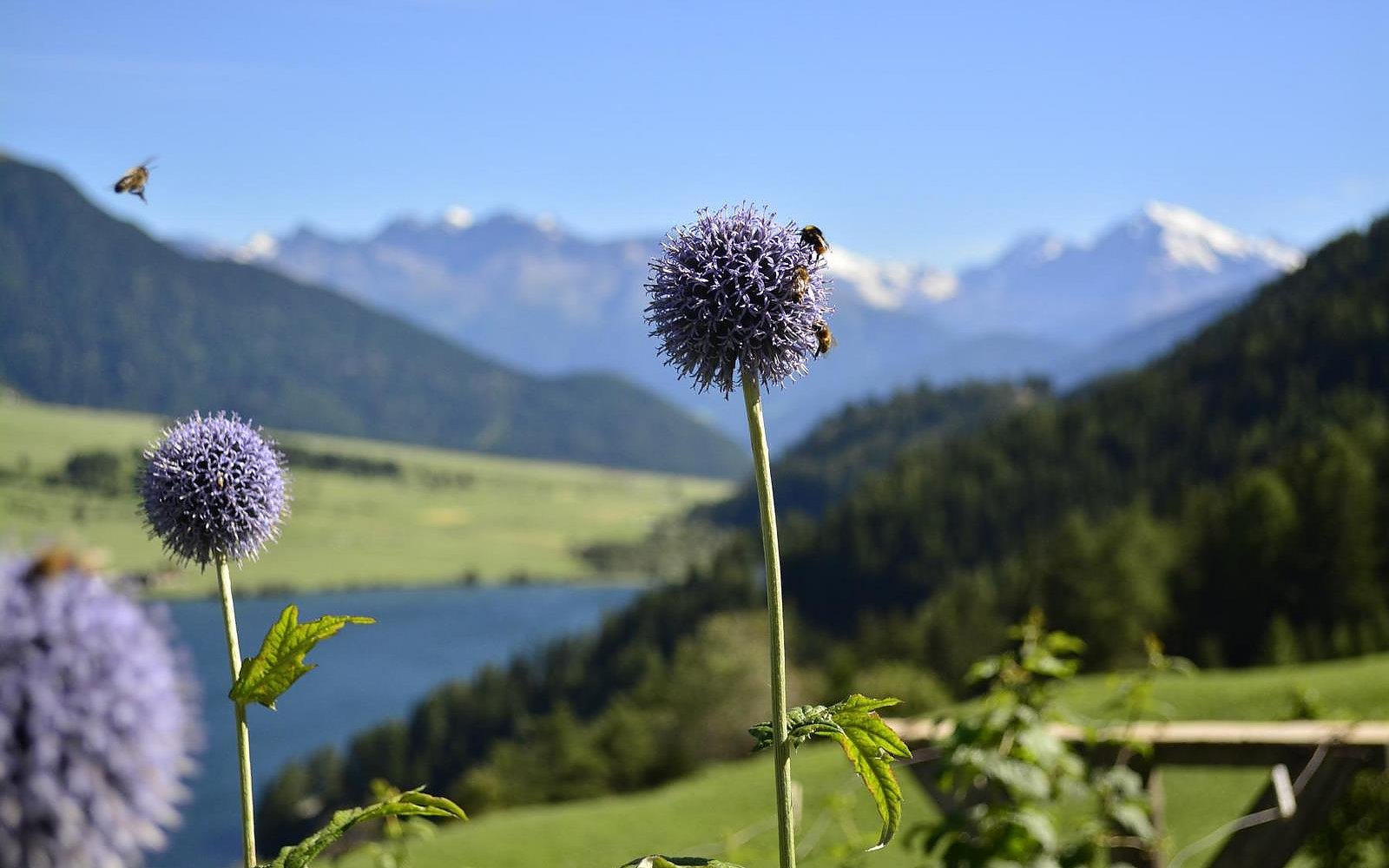 Ausblick vom Hotel Plagött Ausblick vom Hotel Plagött
